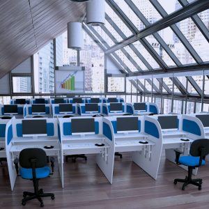 2/107 – CALL CENTER WORK